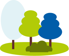 Illustration forêt